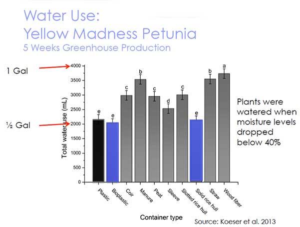 Water Use: Yellow Madness Petunia